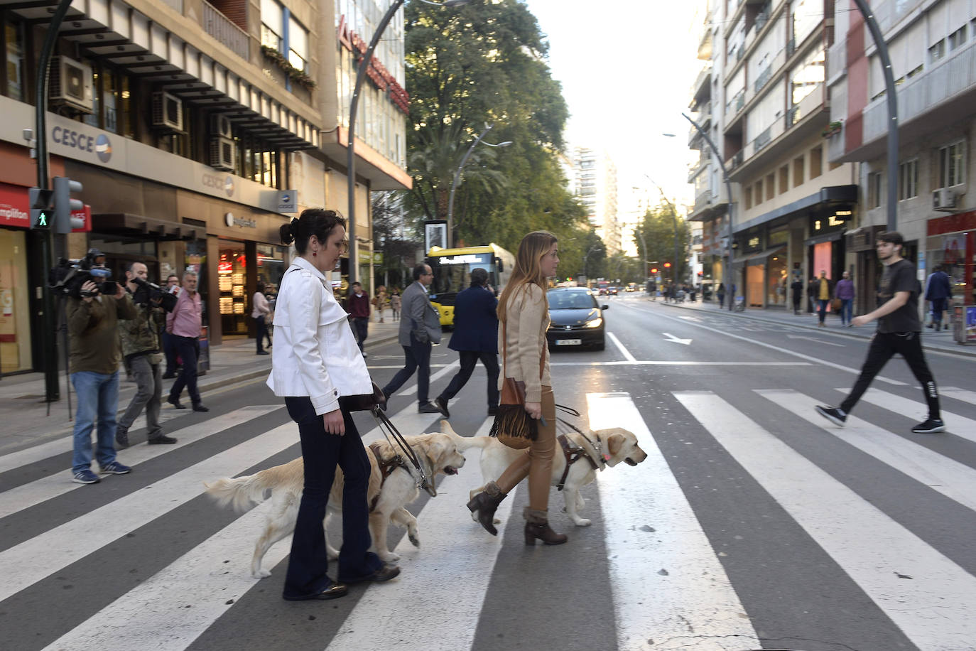 Fotos: Pasear totalmente &#039;a ciegas&#039; por Murcia