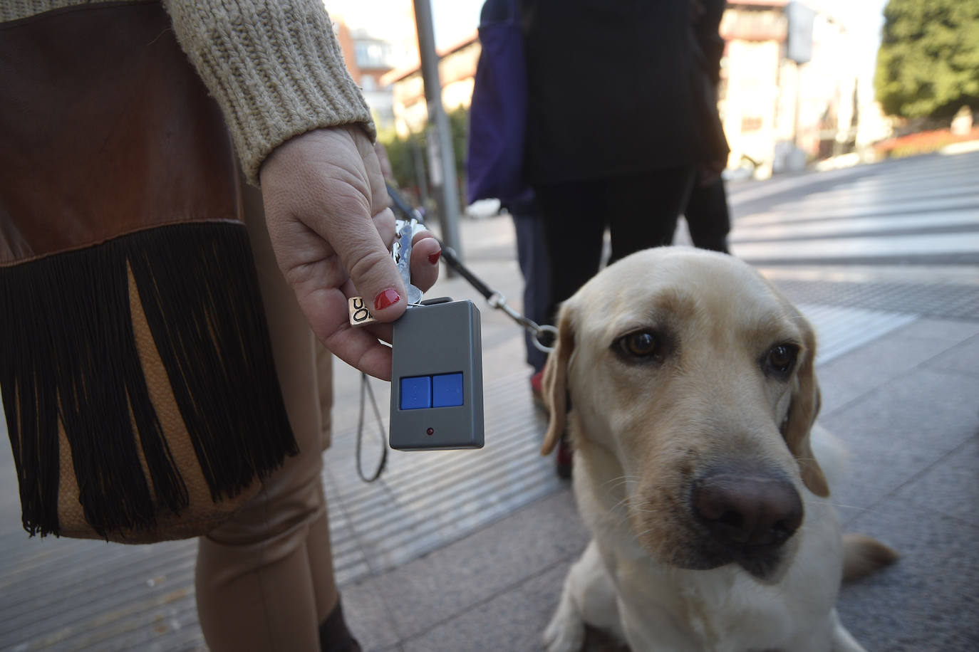 Fotos: Pasear totalmente &#039;a ciegas&#039; por Murcia