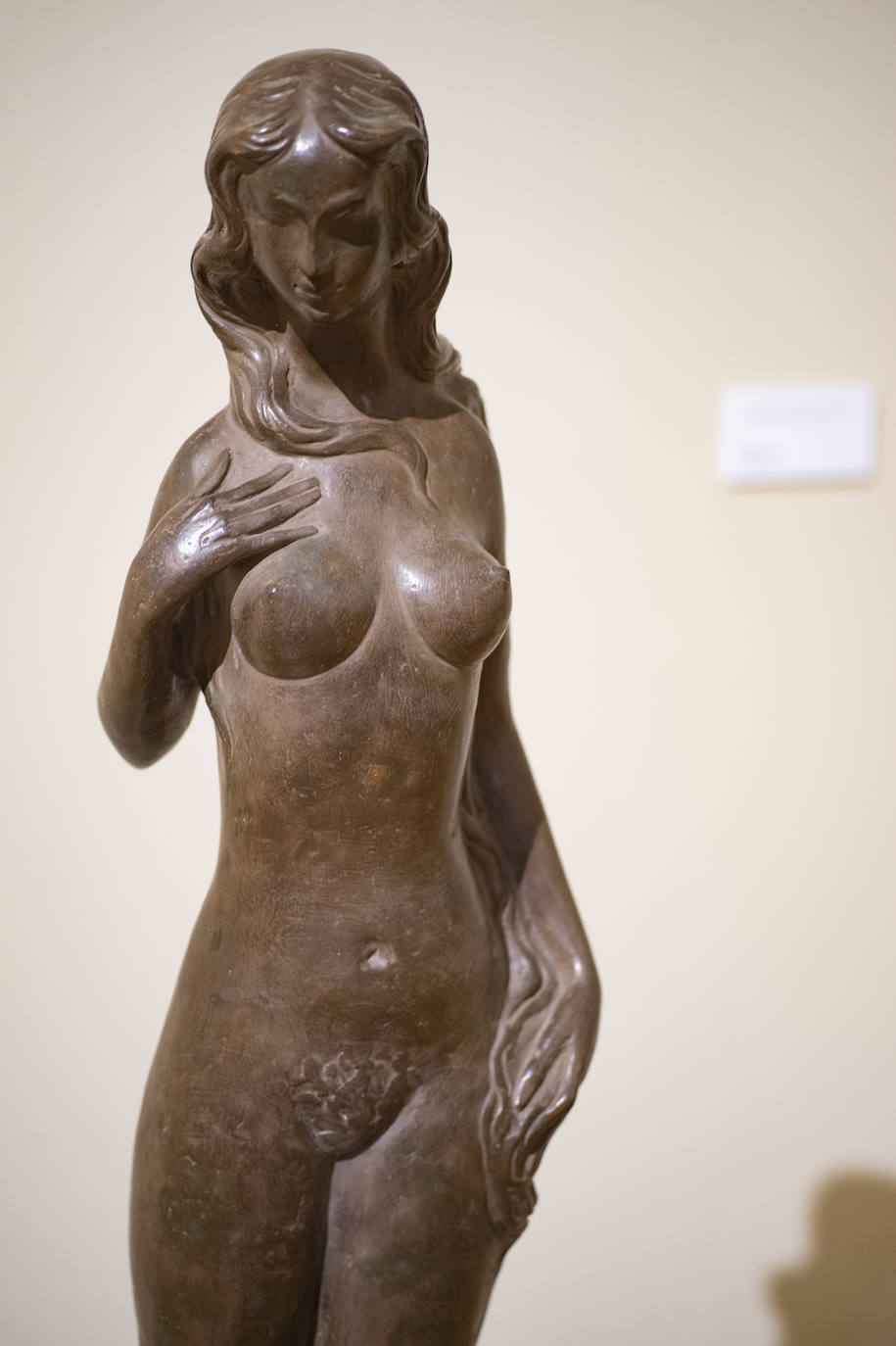 Fotos: Hernández Cano, un corazón enamorado