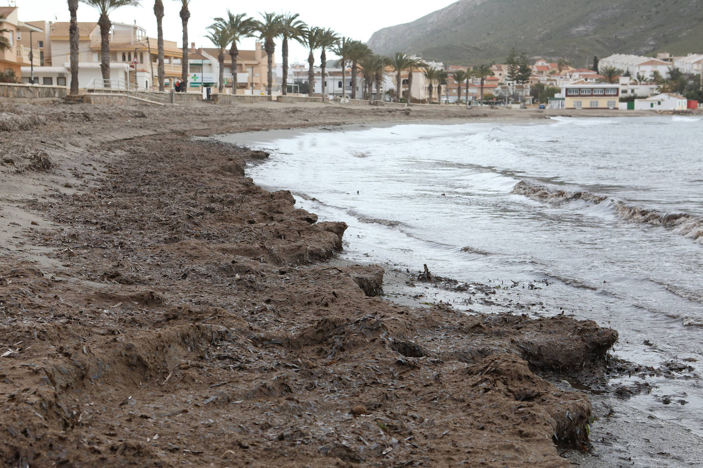 Fotos: Operación &#039;draga y pintura&#039; en las playas de la Región