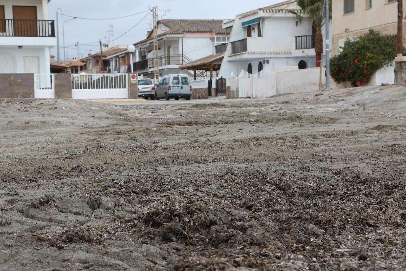 Fotos: Operación &#039;draga y pintura&#039; en las playas de la Región