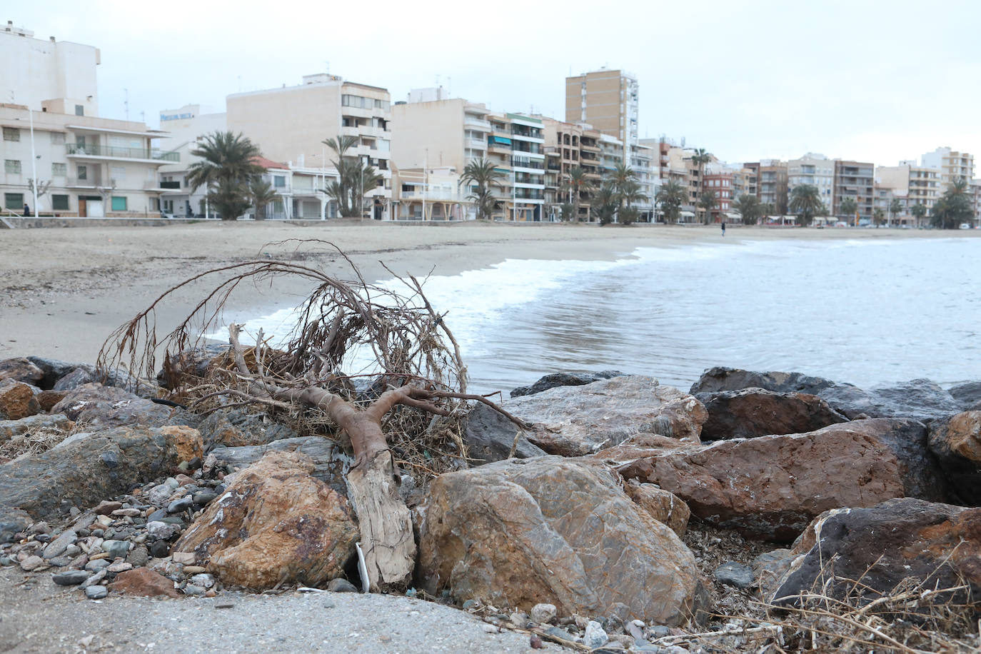 Fotos: Operación &#039;draga y pintura&#039; en las playas de la Región