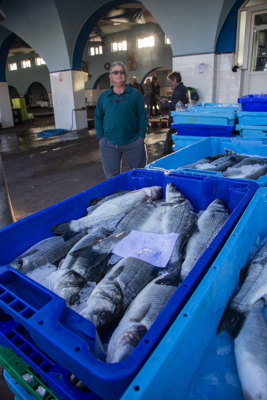 Fotos: La fuga de doradas y lubinas de jaulas tira los precios del pescado en la lonja de Cartagena
