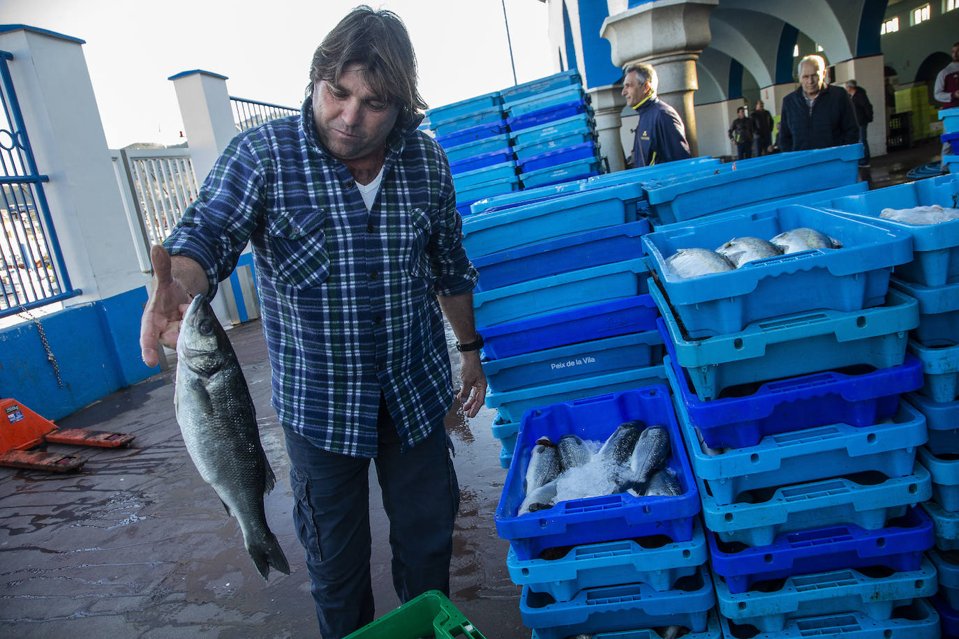 Fotos: La fuga de doradas y lubinas de jaulas tira los precios del pescado en la lonja de Cartagena