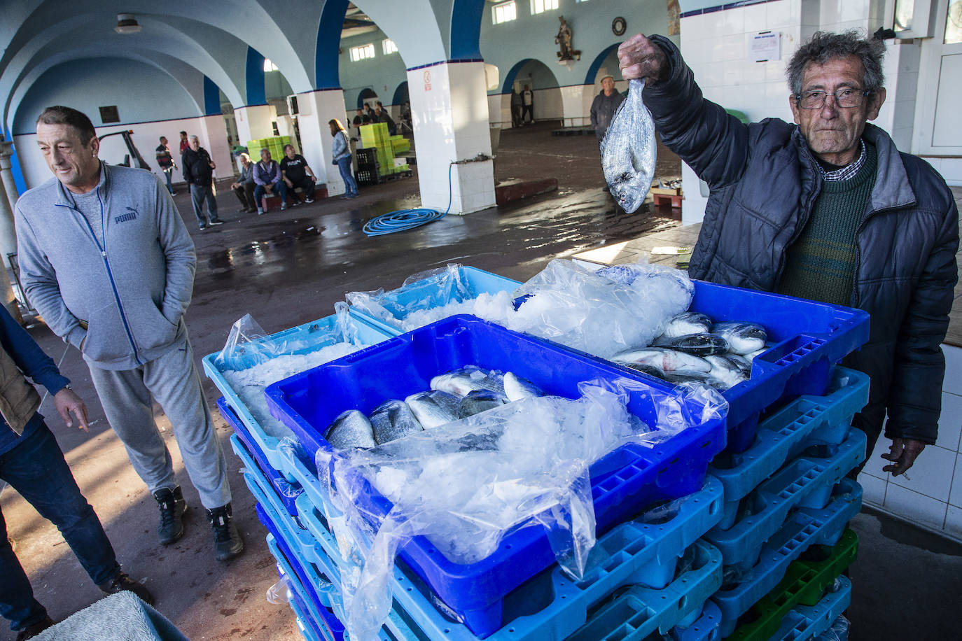 Fotos: La fuga de doradas y lubinas de jaulas tira los precios del pescado en la lonja de Cartagena
