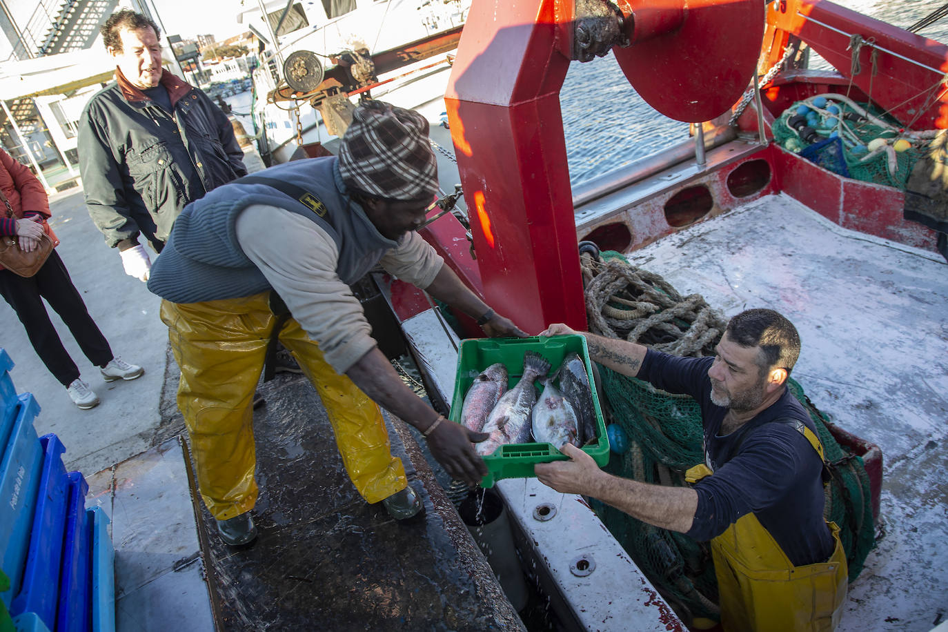 Fotos: La fuga de doradas y lubinas de jaulas tira los precios del pescado en la lonja de Cartagena