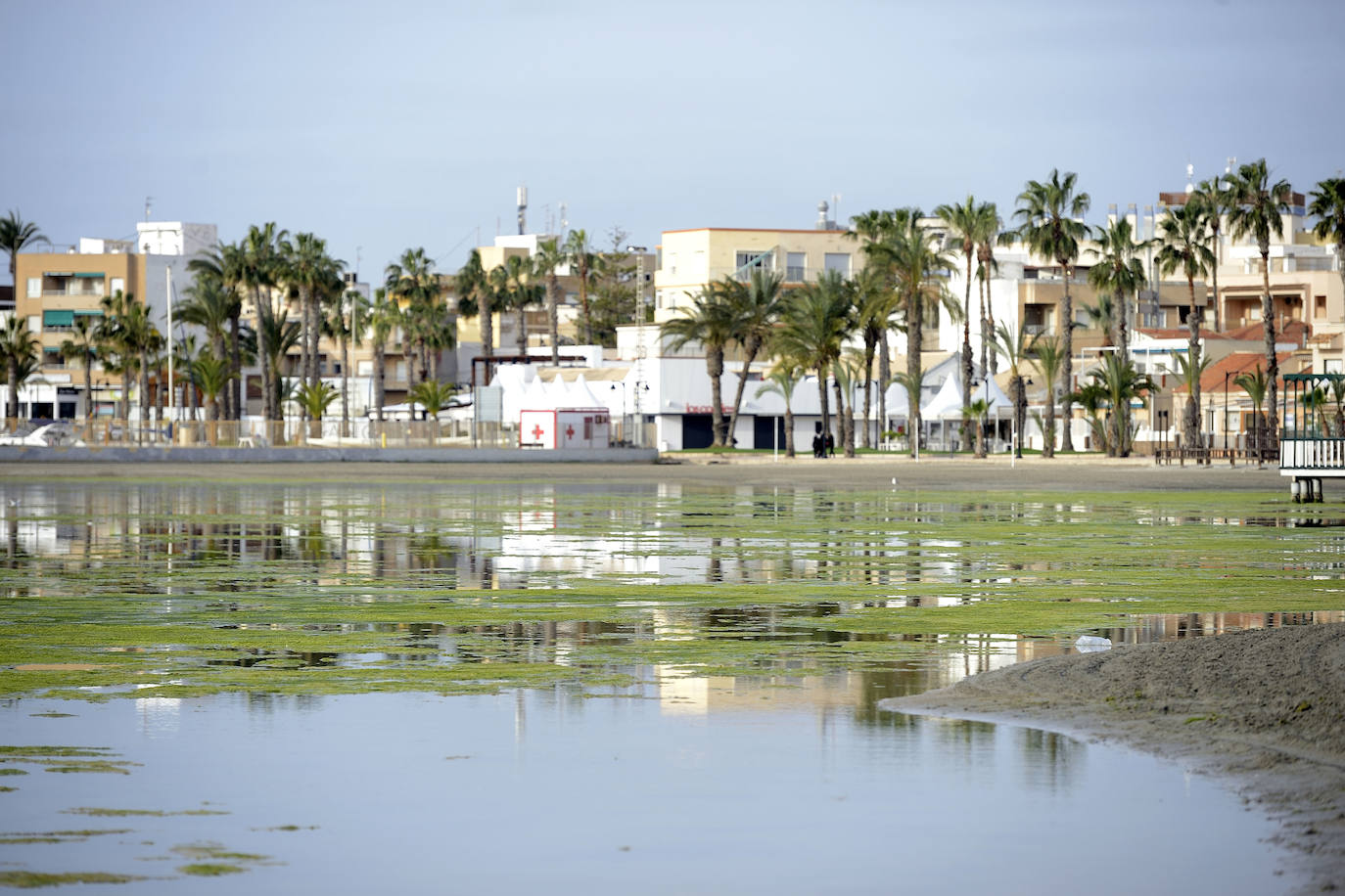 Fotos: Operación &#039;draga y pintura&#039; en las playas de la Región