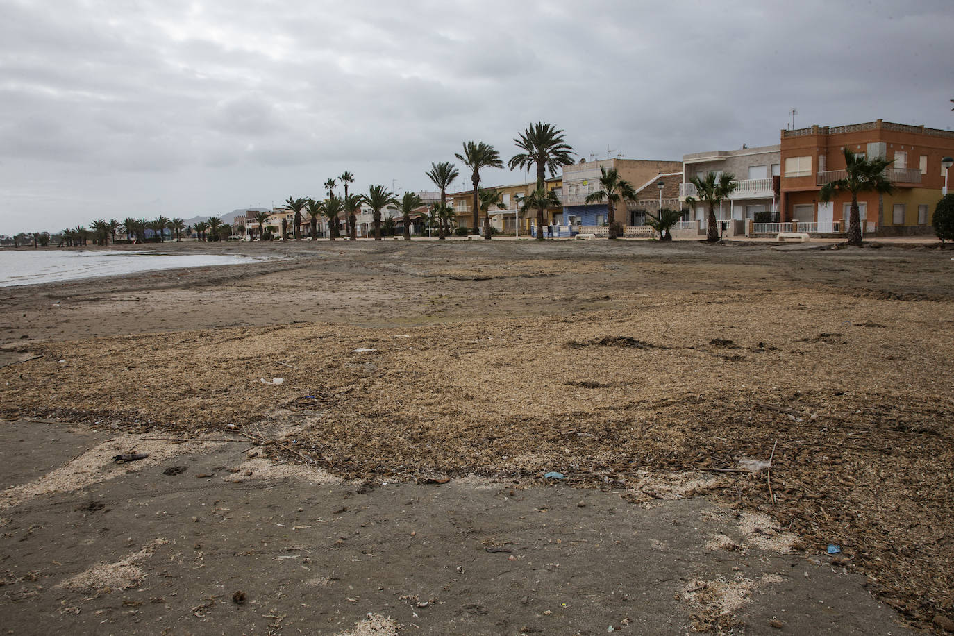 Fotos: Operación &#039;draga y pintura&#039; en las playas de la Región