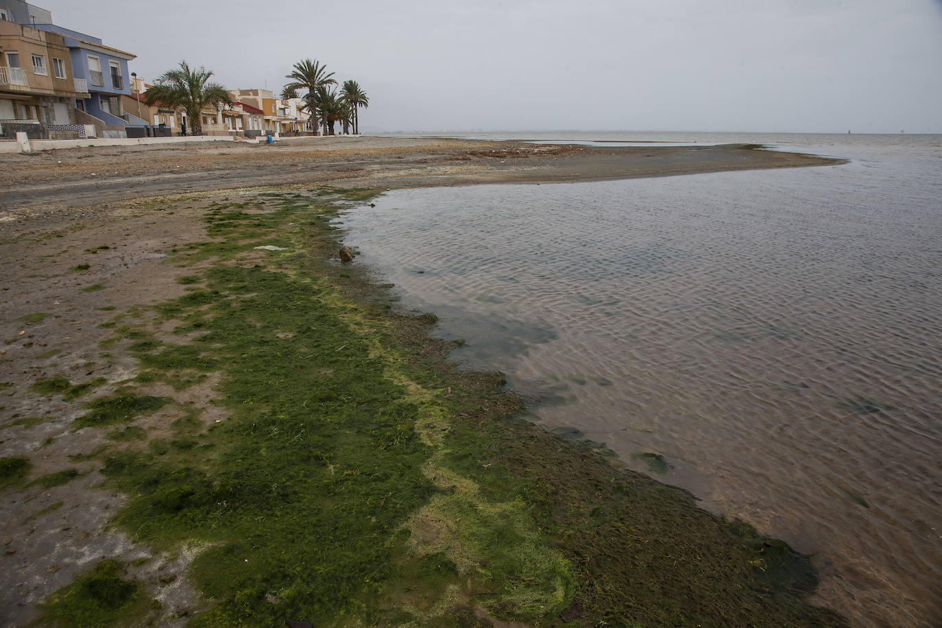 Fotos: Operación &#039;draga y pintura&#039; en las playas de la Región