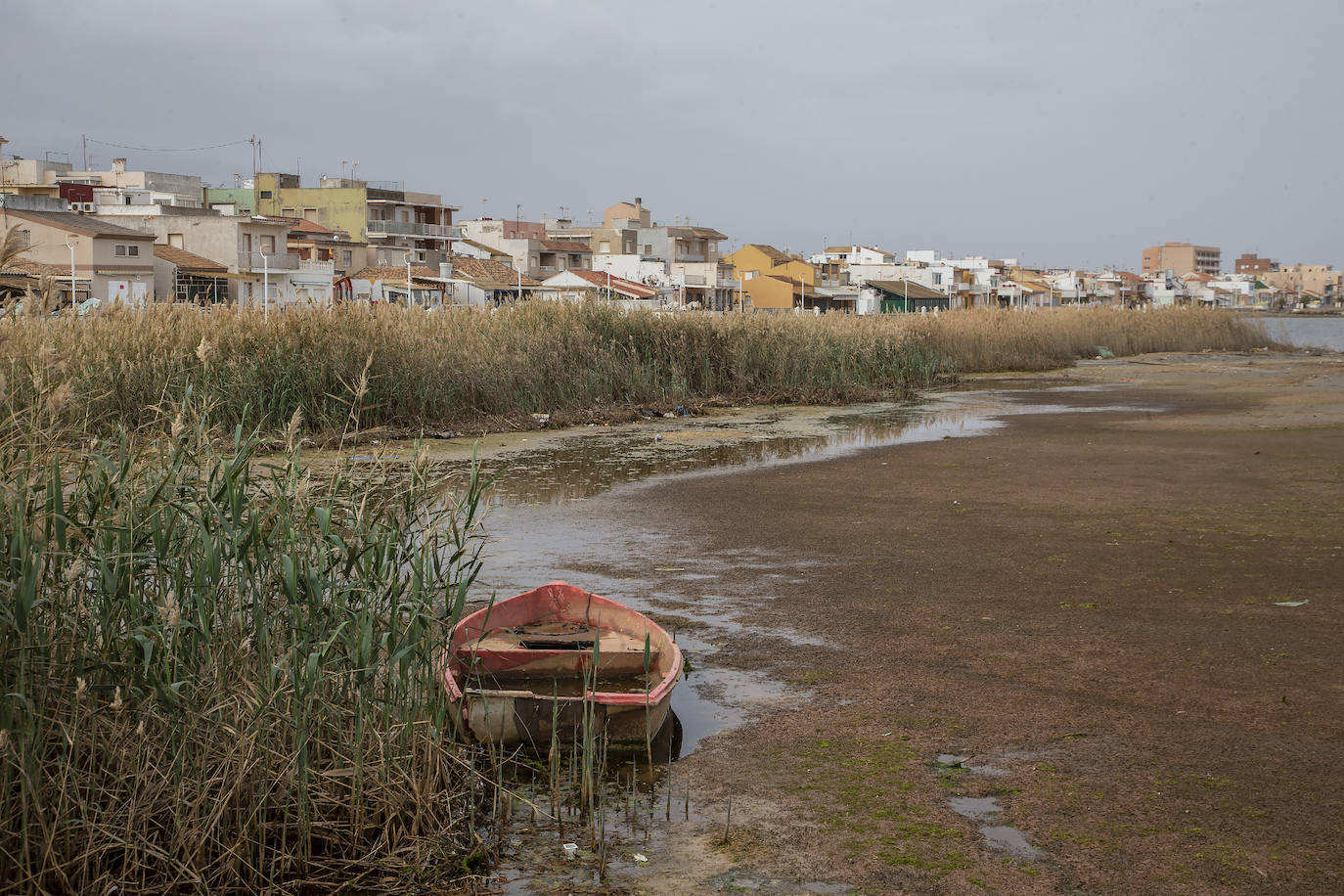 Fotos: Operación &#039;draga y pintura&#039; en las playas de la Región