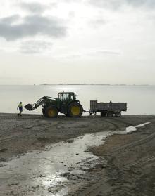 Imagen secundaria 2 - Playas de La Puntica y Villananitos, en Lo Pagán. 