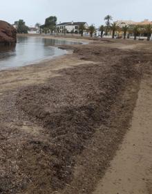 Imagen secundaria 2 - Playas del Alamillo, Bolnuevo y La Ermita de Mazarrón. 