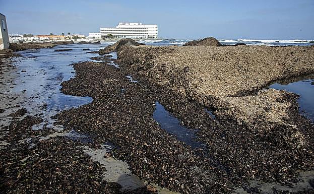 Imagen principal - Playas de Marchamalo, Manga Surf y Levante, en Cartagena. 