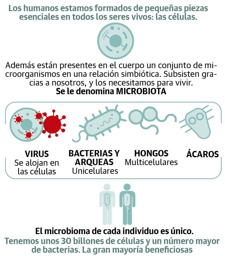 La microbiota