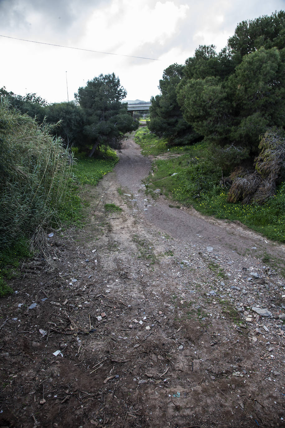 Fotos: Tres ramblas arrastran al Mar Menor residuos mineros con altos niveles de 5 metales pesados