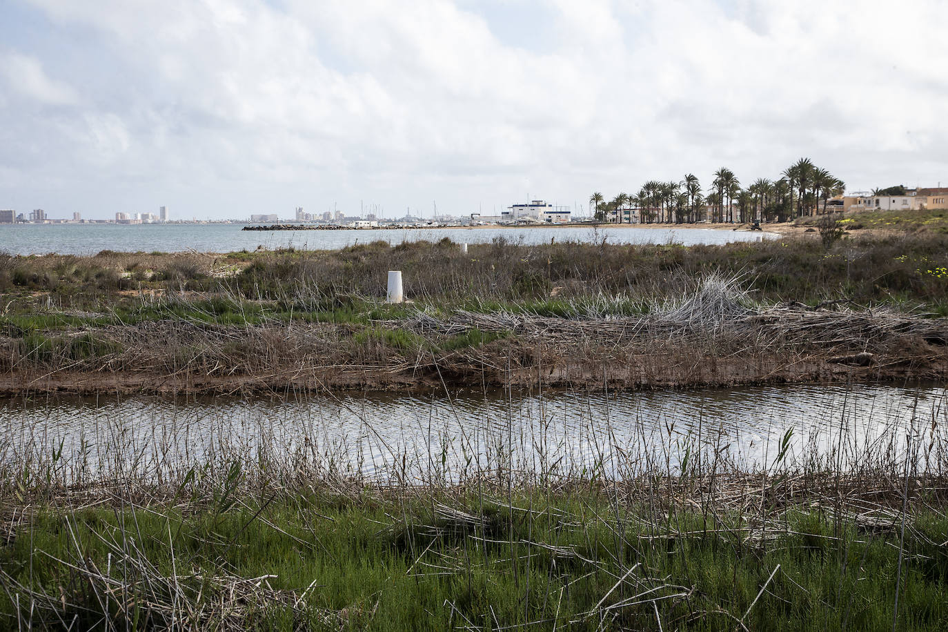 Fotos: Tres ramblas arrastran al Mar Menor residuos mineros con altos niveles de 5 metales pesados