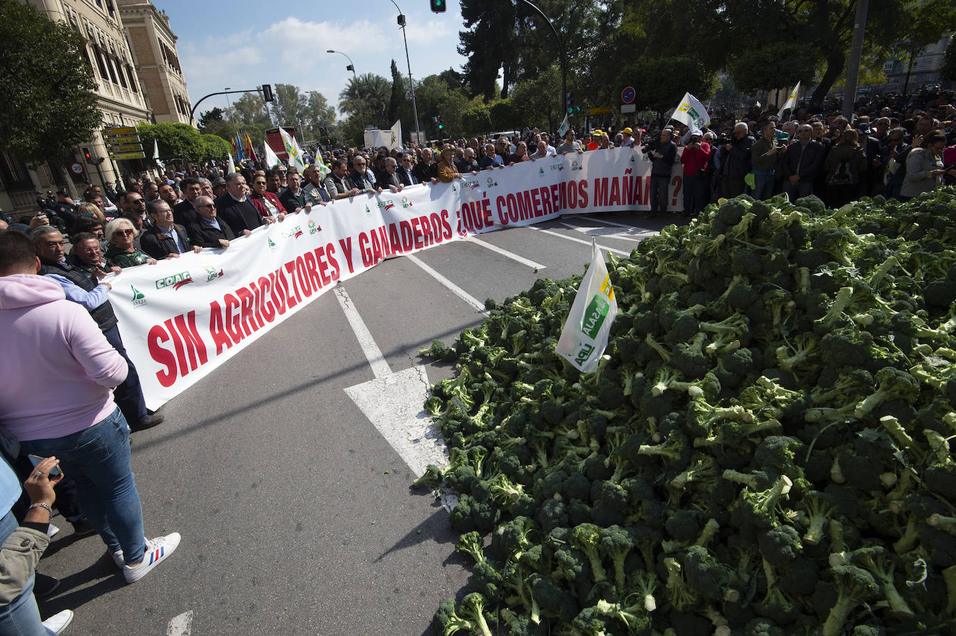 Fotos: La protesta del campo llega ya a Murcia