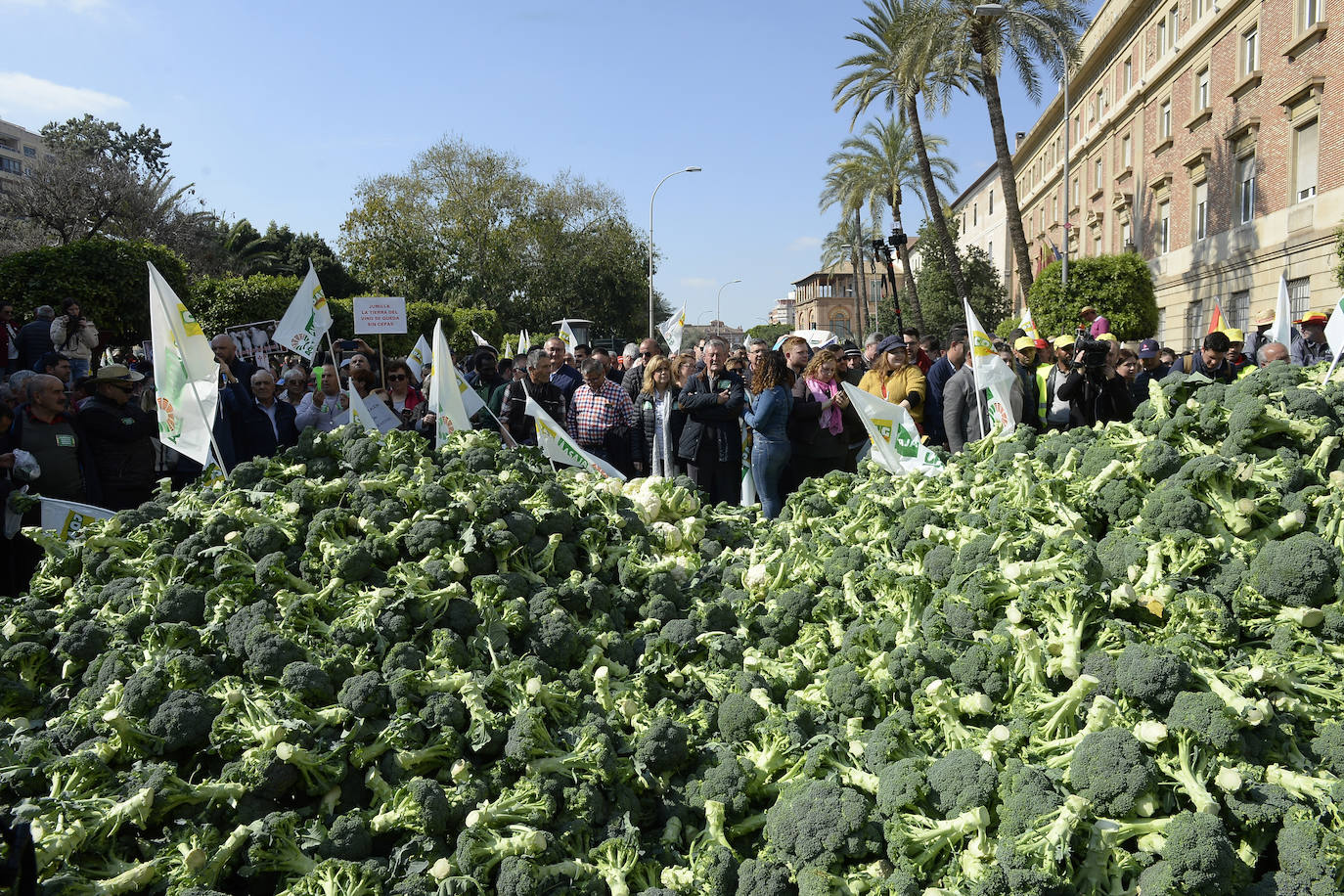 Fotos: La protesta del campo llega ya a Murcia