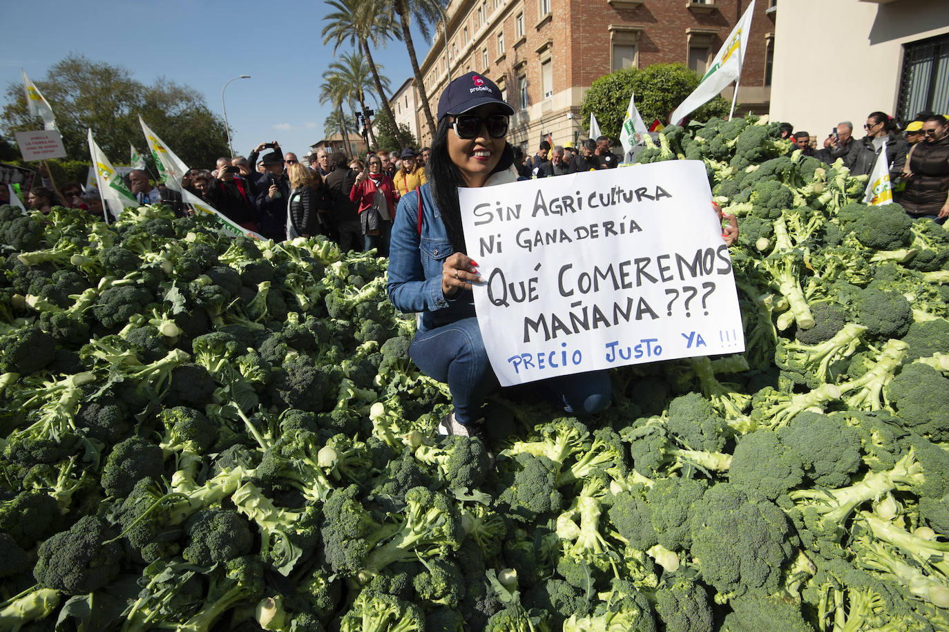 El sector agricola y ganadero ha llevado sus exigencias a la calle con pancartas de todo tipo pidiendo más ayudas a los políticos y una regulación que mejore sus condiciones