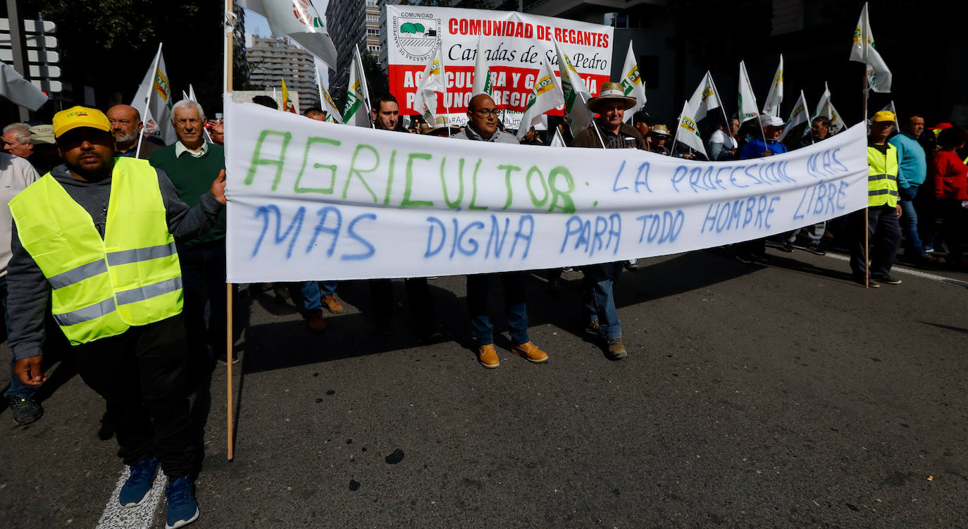 El sector agricola y ganadero ha llevado sus exigencias a la calle con pancartas de todo tipo pidiendo más ayudas a los políticos y una regulación que mejore sus condiciones