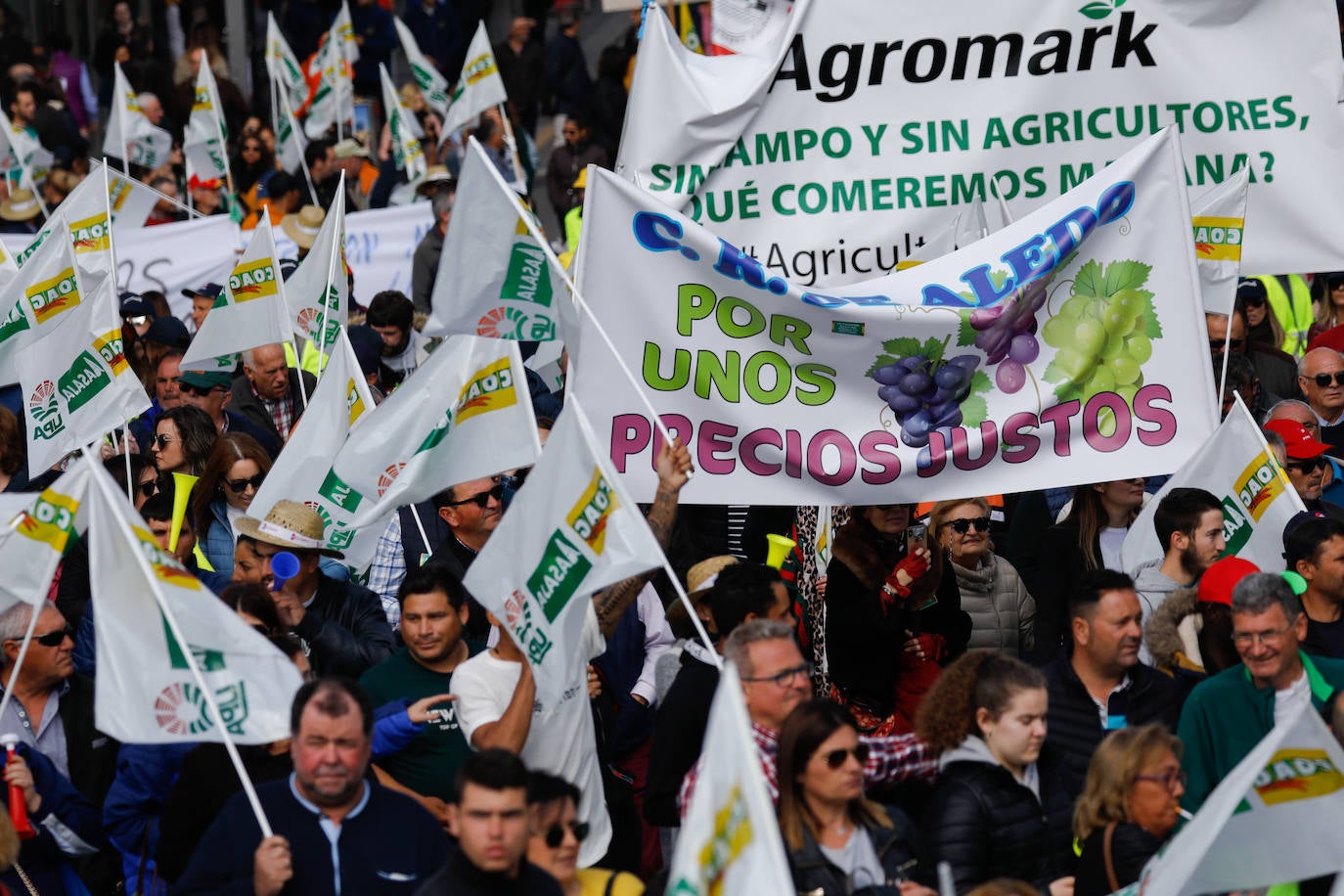 El sector agricola y ganadero ha llevado sus exigencias a la calle con pancartas de todo tipo pidiendo más ayudas a los políticos y una regulación que mejore sus condiciones