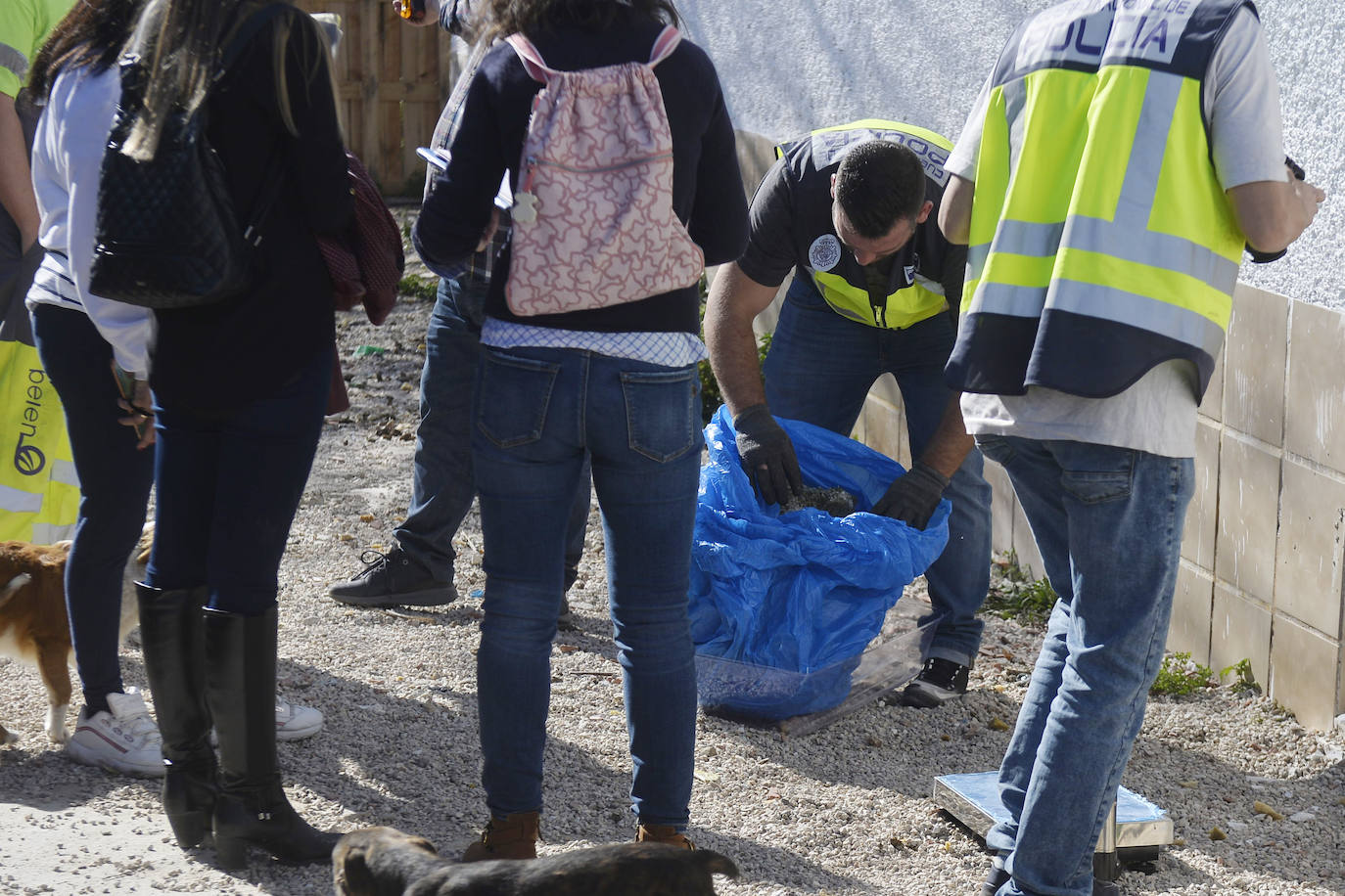 Fotos: Golpe de la Policía Nacional al cultivo de marihuana en La Alberca