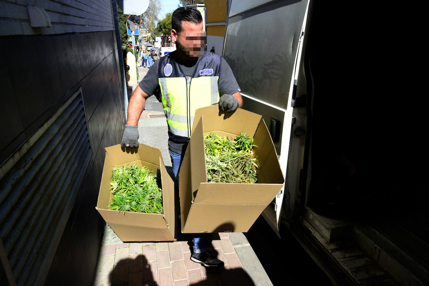 Fotos: Golpe de la Policía Nacional al cultivo de marihuana en La Alberca