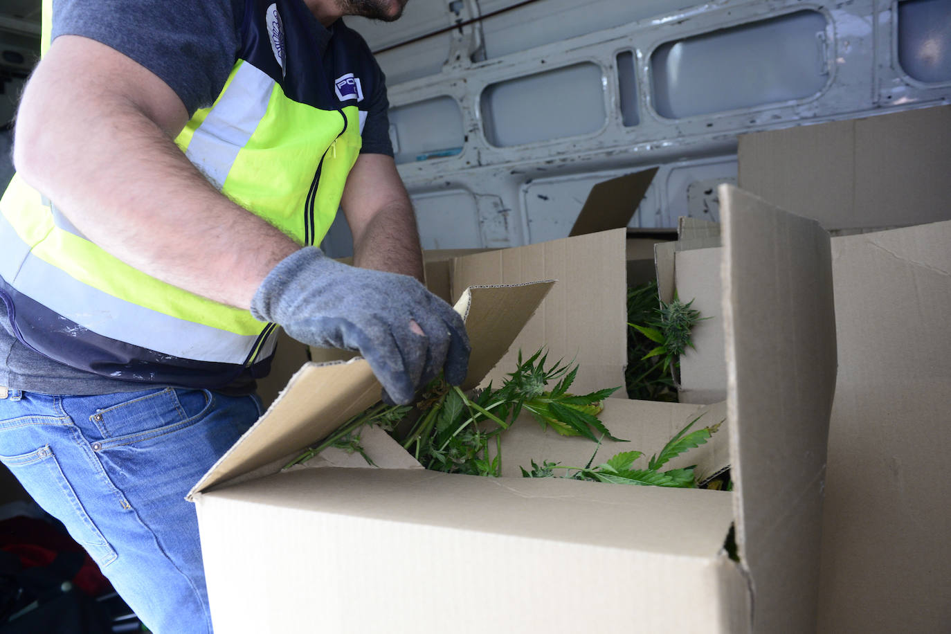 Fotos: Golpe de la Policía Nacional al cultivo de marihuana en La Alberca