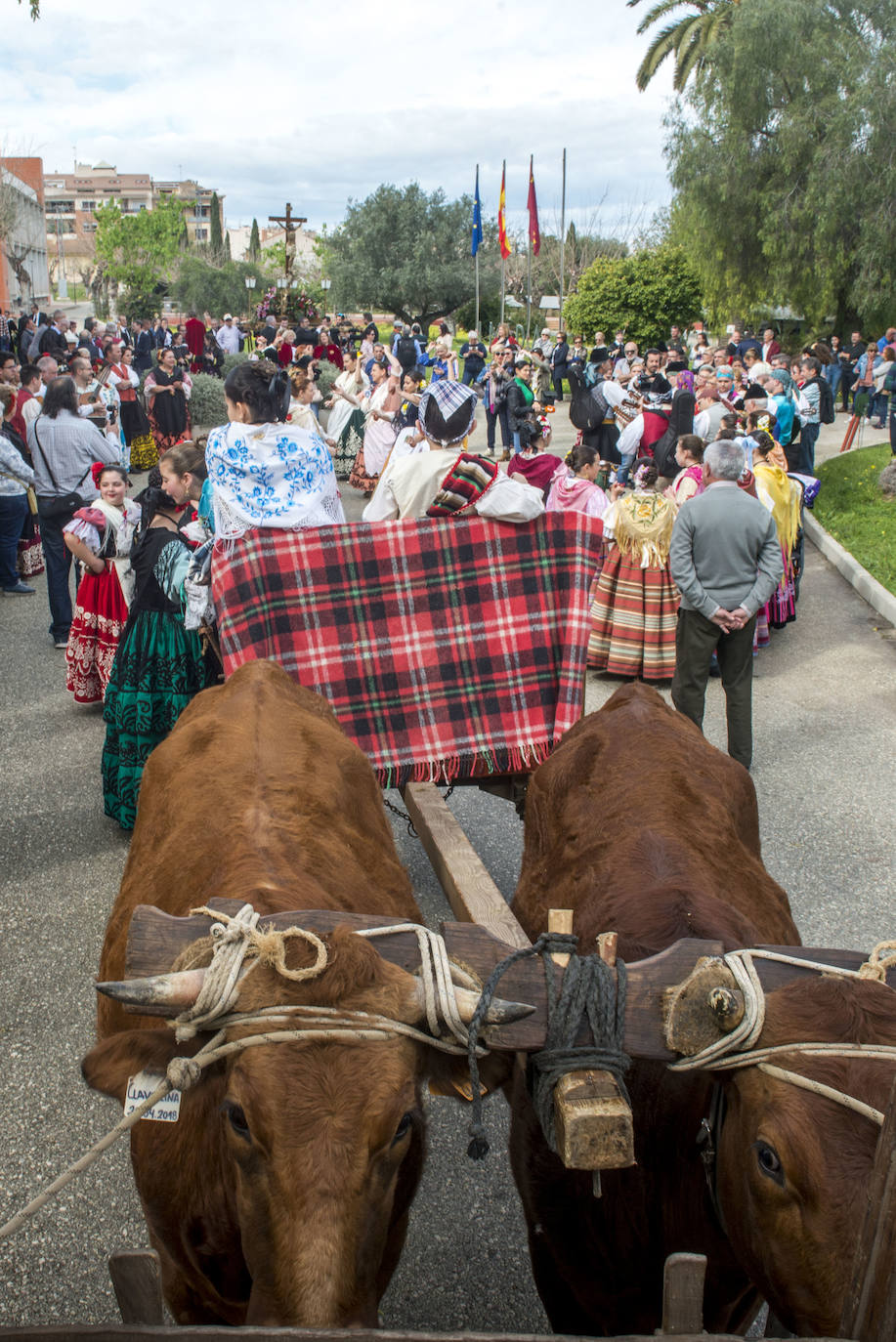 Fotos: La Alberca celebra la tradicional bendición de la simiente del gusano de seda