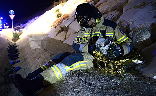 Imagen principal - Dos heridos graves en un accidente en la A-30, a la altura de La Alberca