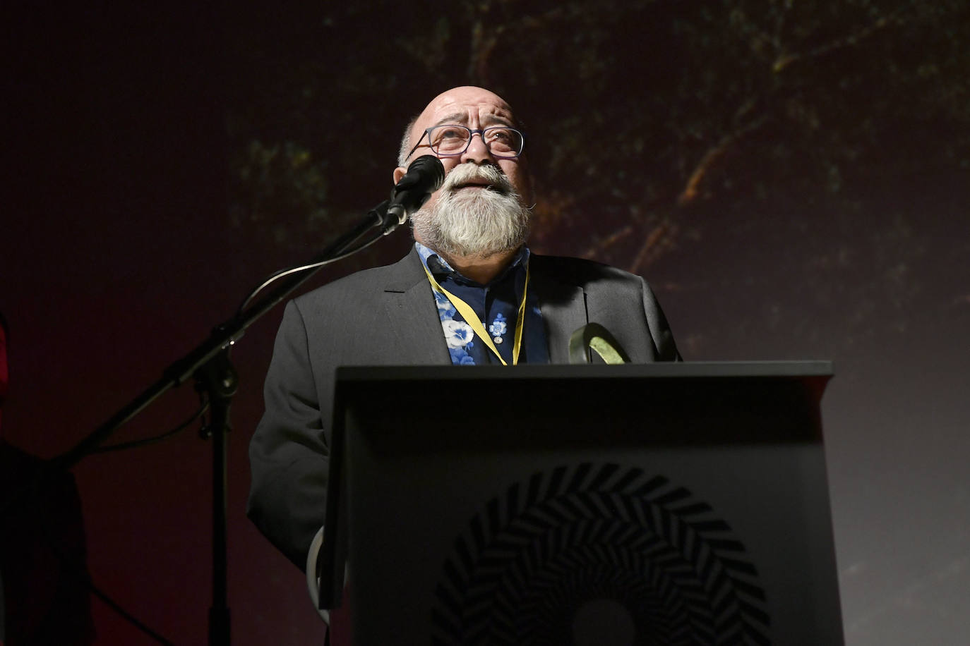 Fotos: &#039;Les enfants d&#039;Isadora&#039; y &#039;Carne&#039; triunfan en los premios IBAFF 2020