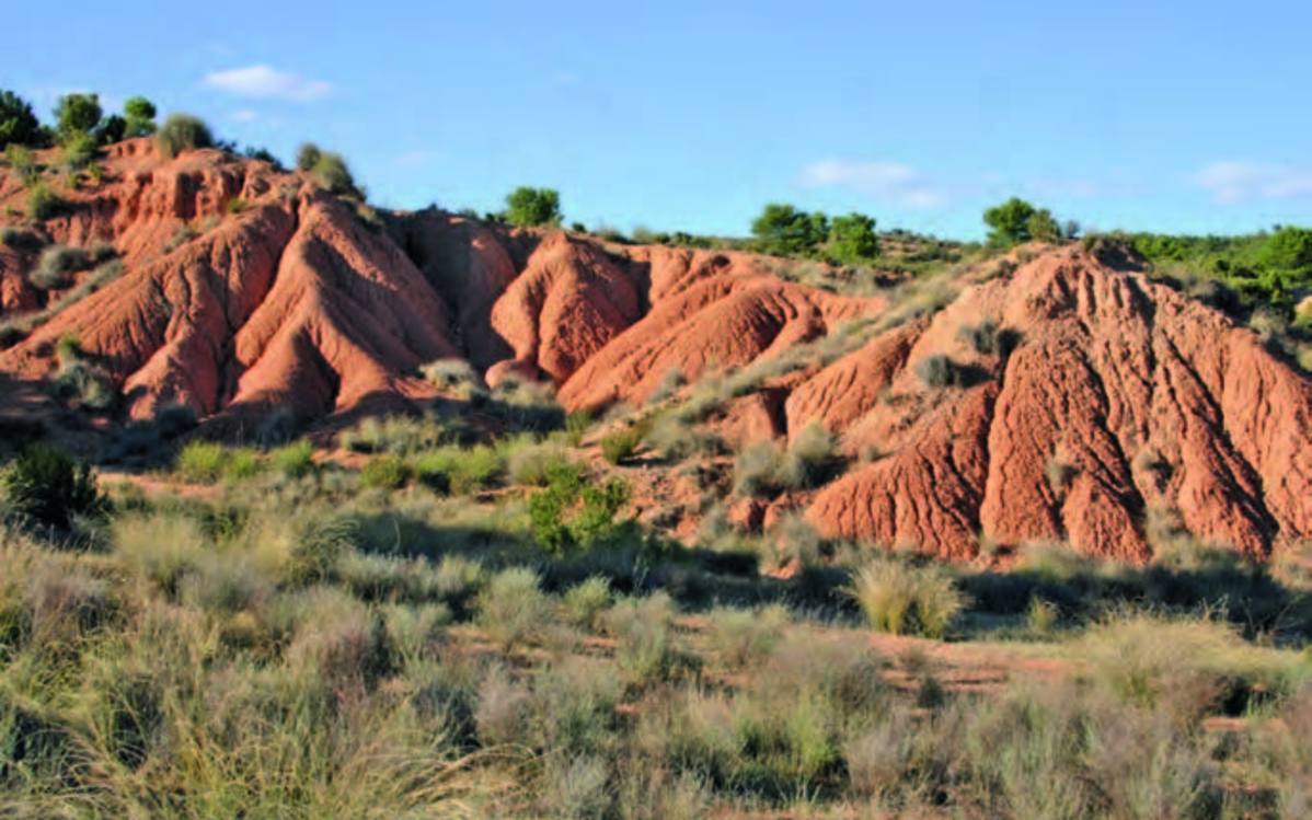 La erosión en cárcavas es uno de los procesos más preocupantes de la zona.