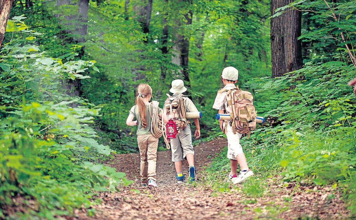 Varios niños caminan por un bosque en una imagen de archivo.