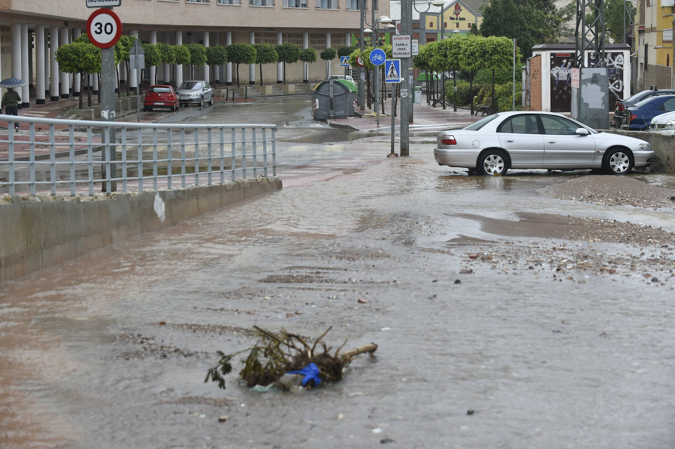 Efectos del temporal en Espinardo.