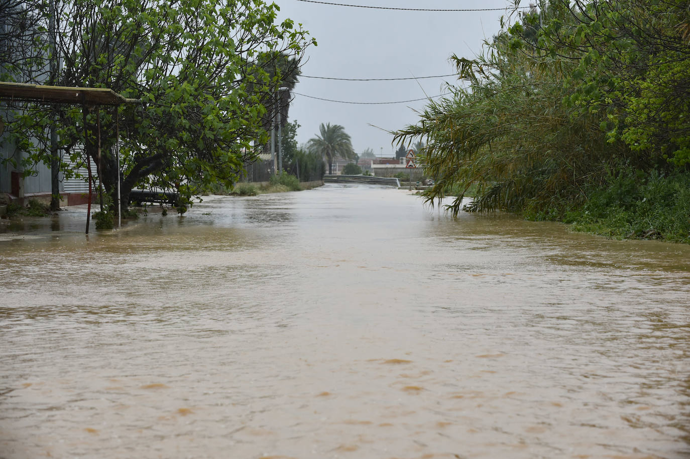 Efectos del temporal en Murcia.