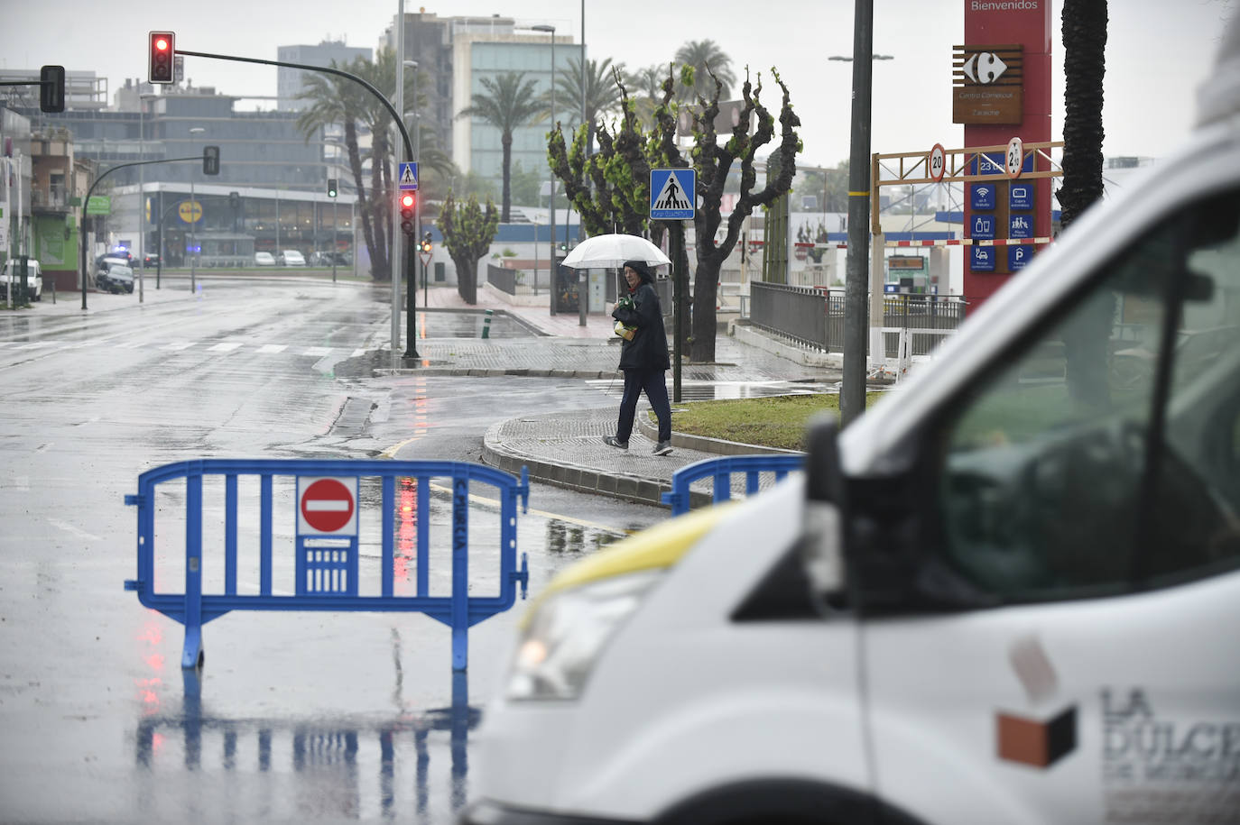 Efectos del temporal en Mariano Rojas.