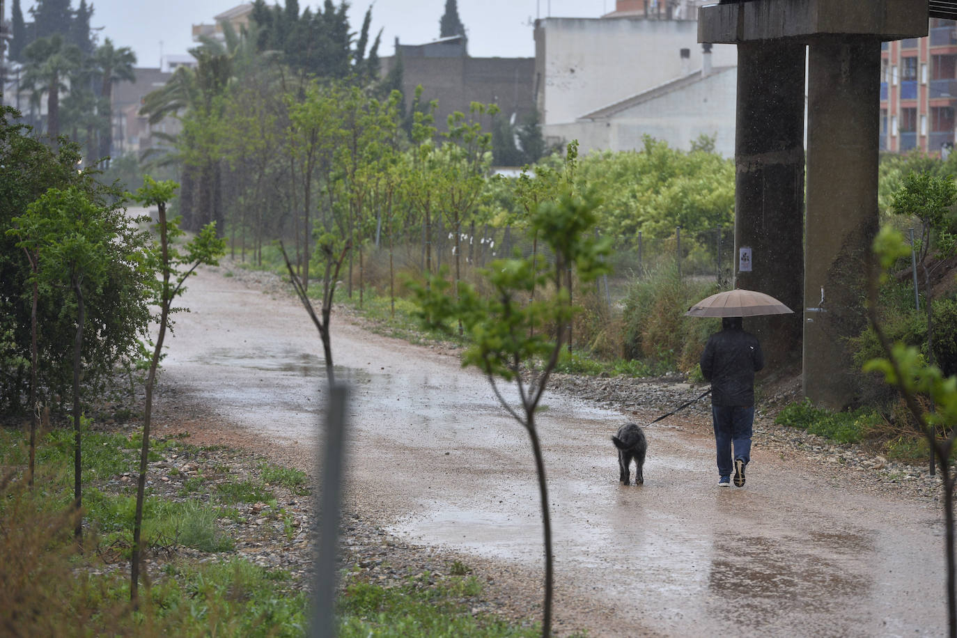 Efectos del temporal en Beniaján y Torreagüera.