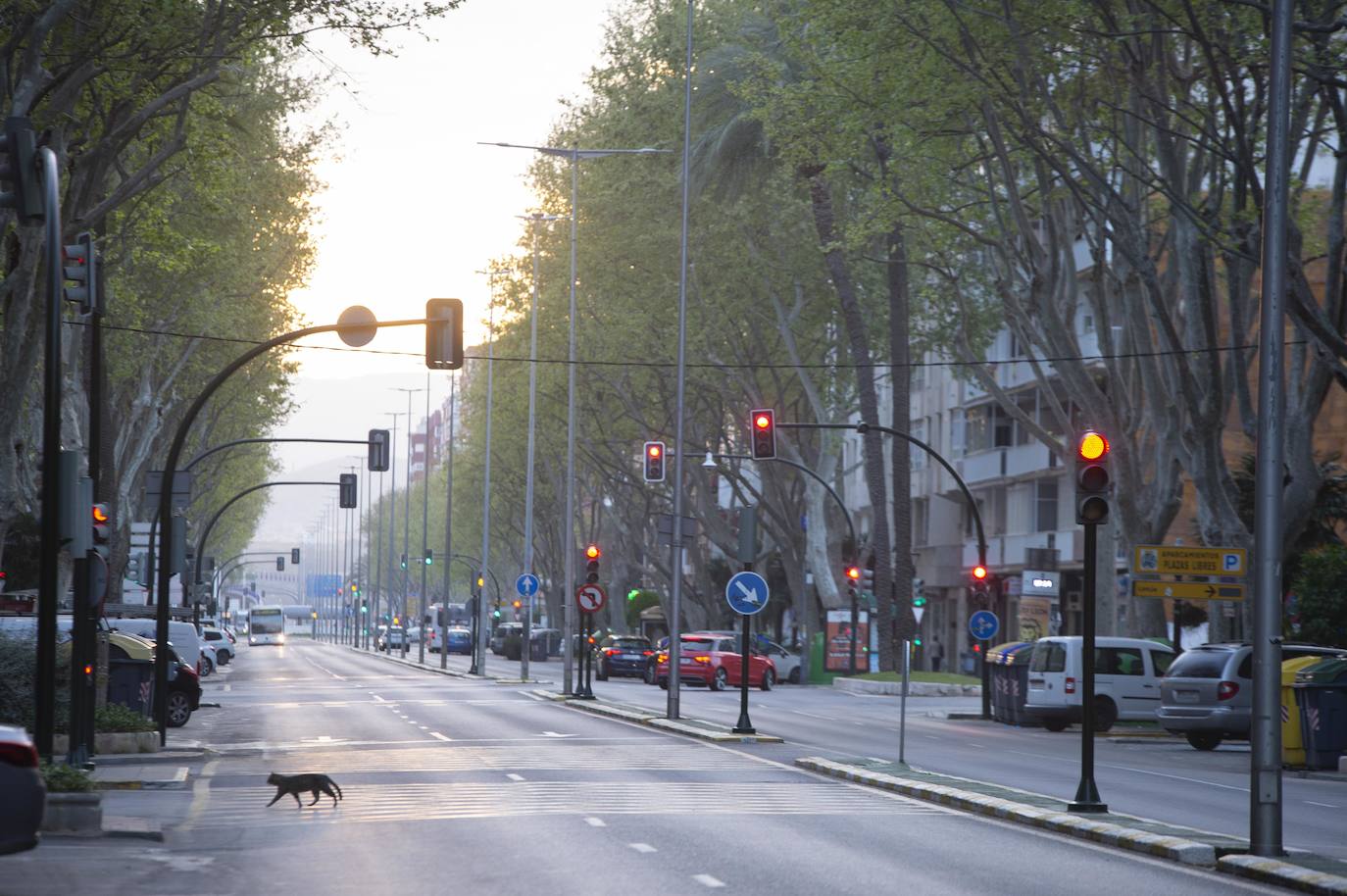 Fotos: Cartagena se queda parada y vacía