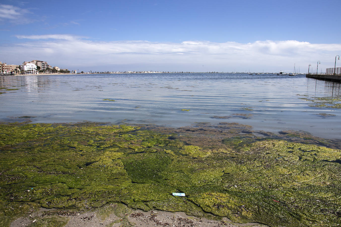 Fotos: El Mar Menor empeora: se dobla la clorofila y se triplica la turbidez