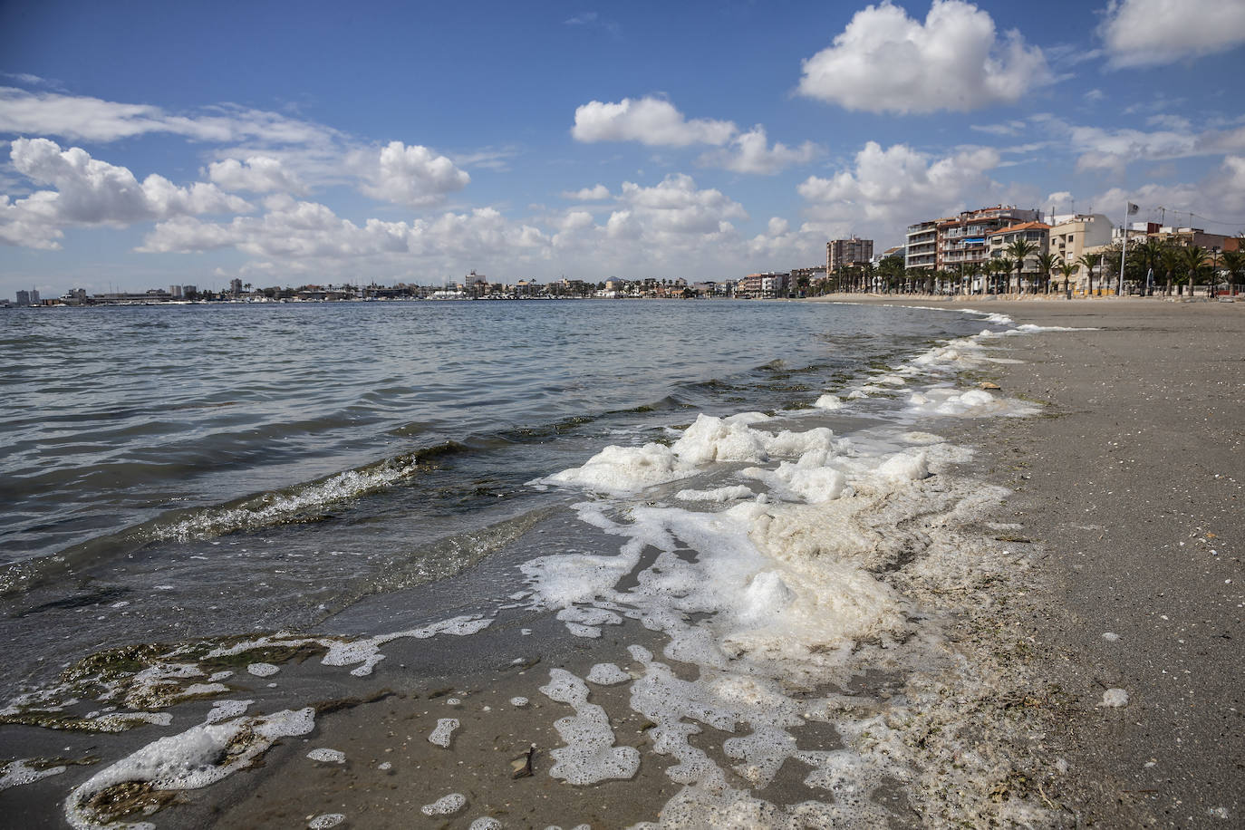Fotos: El Mar Menor empeora: se dobla la clorofila y se triplica la turbidez