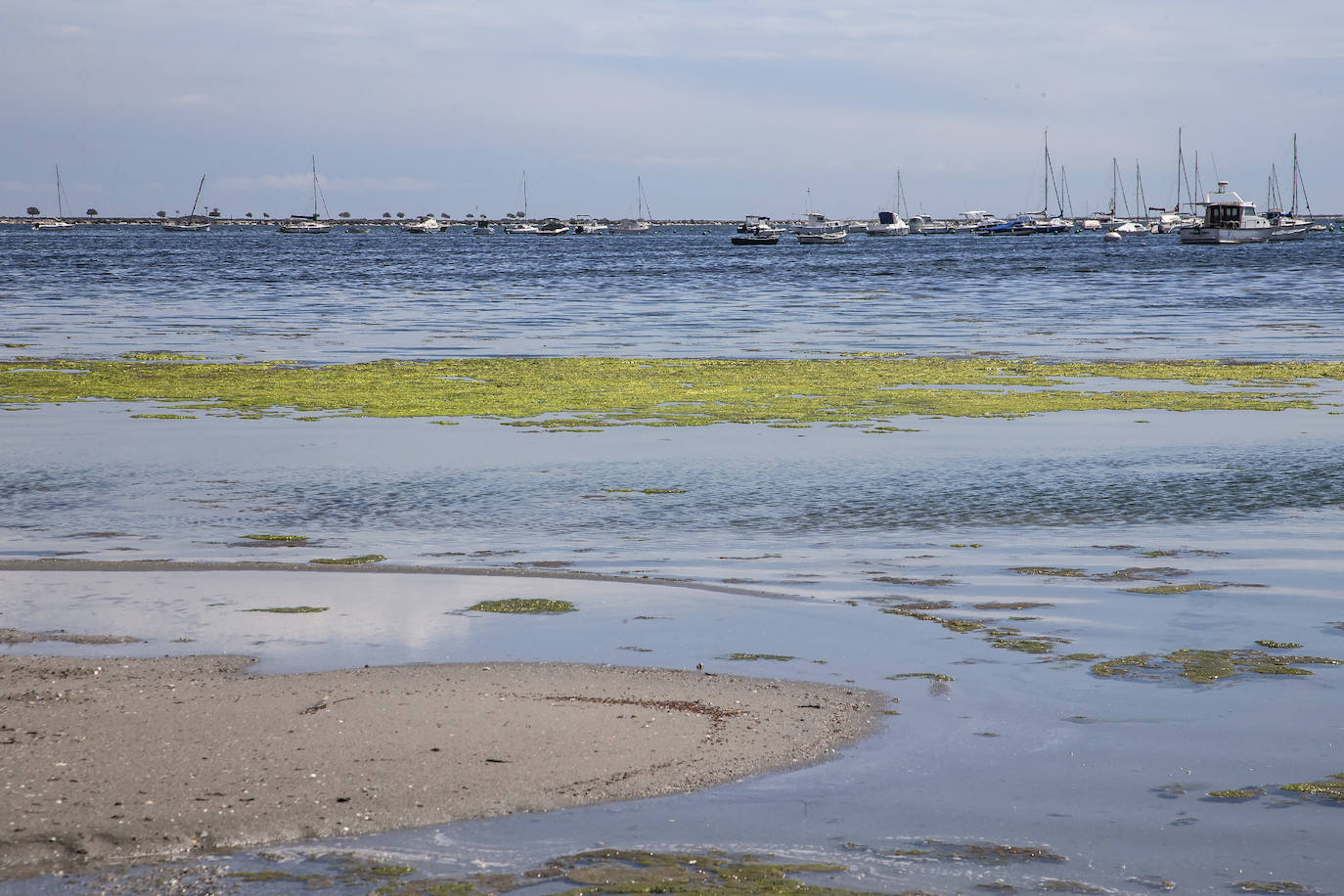 Fotos: El Mar Menor empeora: se dobla la clorofila y se triplica la turbidez