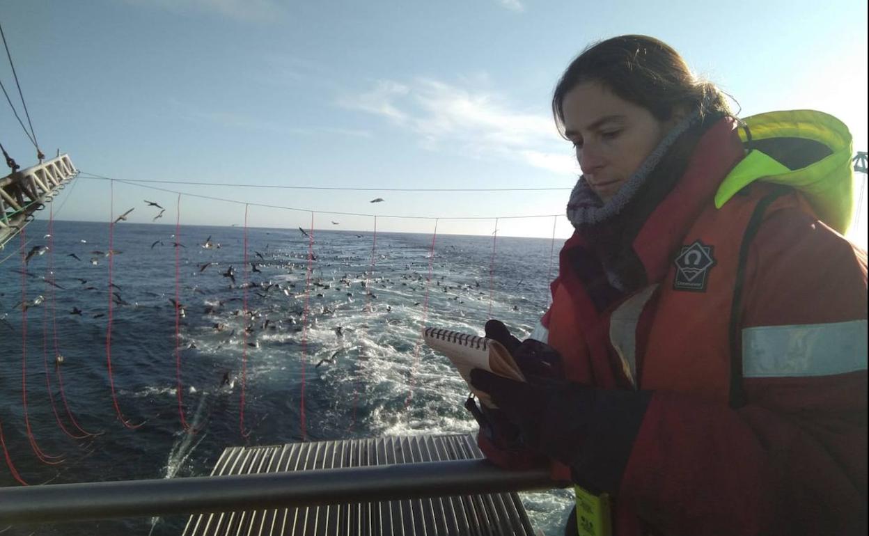 La bióloga cartagenera Marta Moral, navegando el pasado miércoles en un caladero de las islas Falkland con una bandada de alcatraces y petreles siguiendo el rastro de su barco.