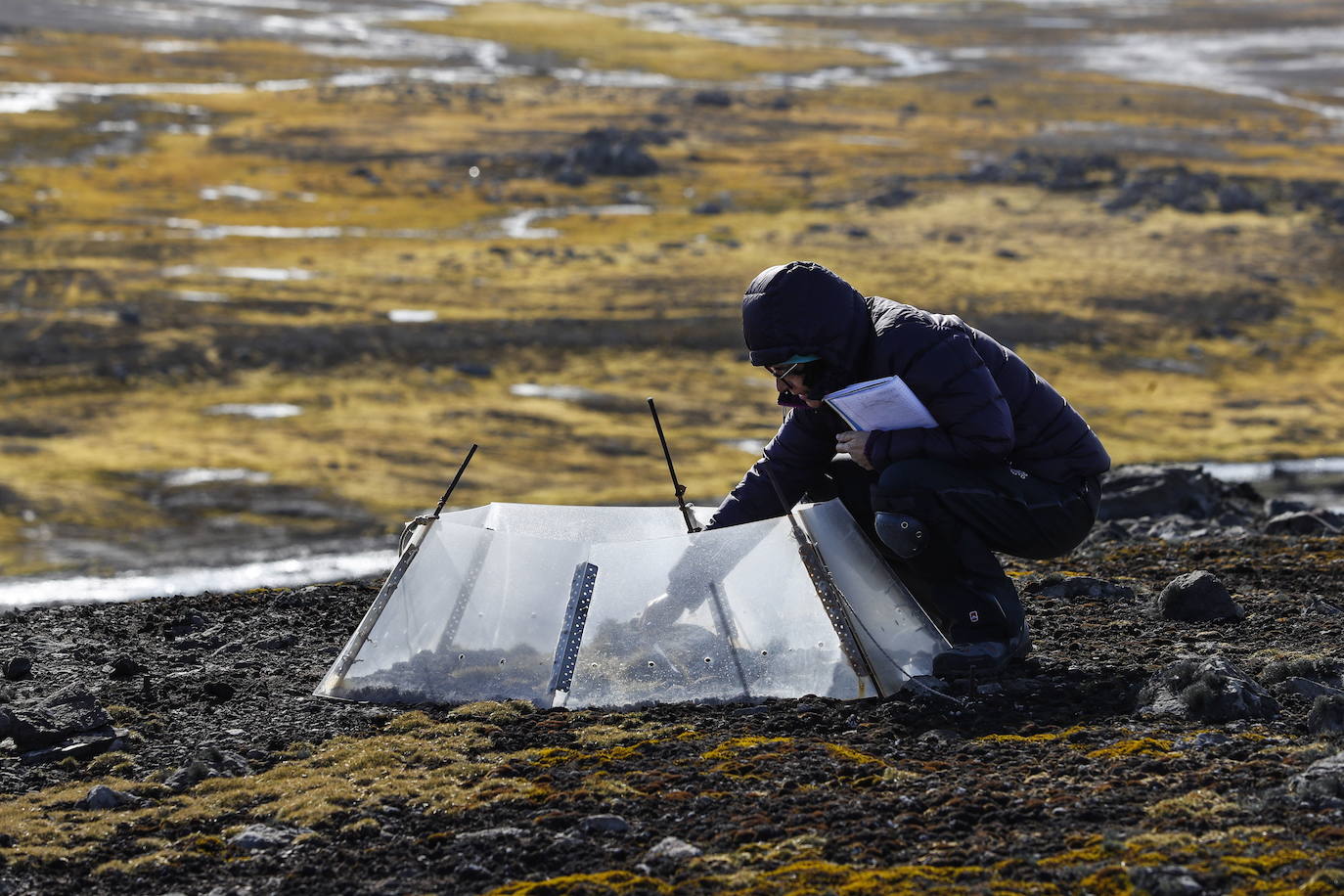 Fotos: Los secretos de la Antártida