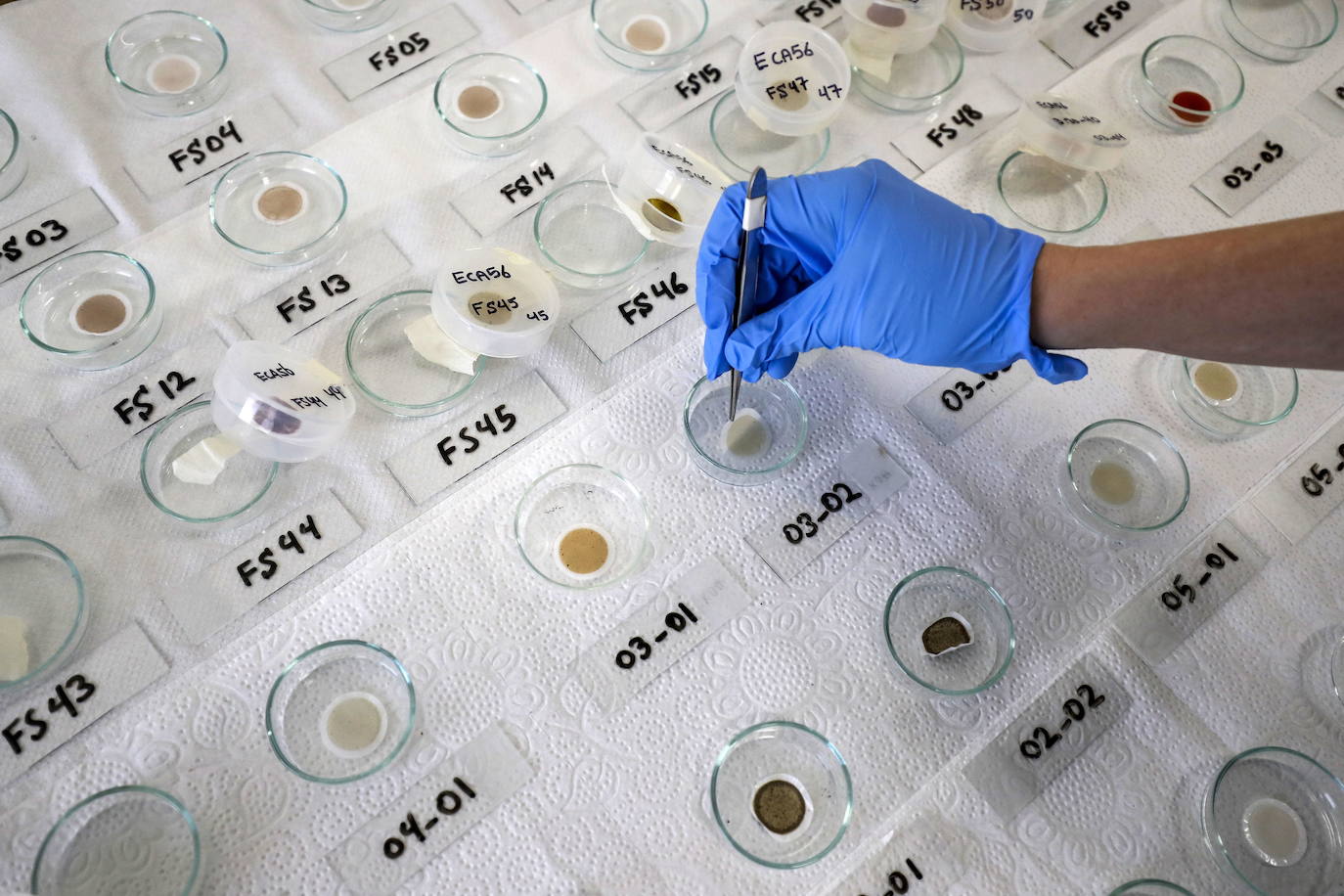 Fotos: Los secretos de la Antártida