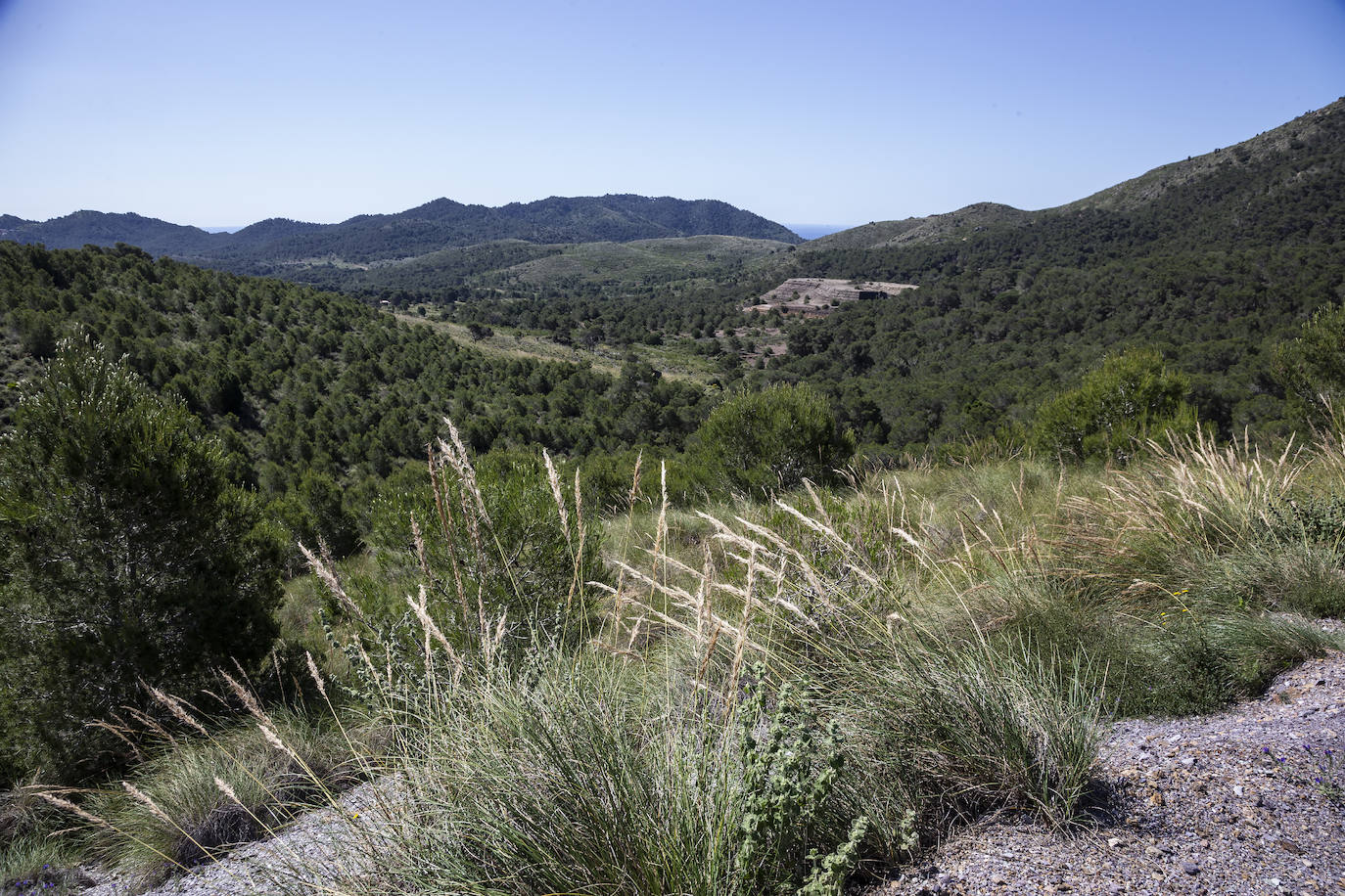 Fotos: «Quiero dejar la Peña del Águila en buenas manos»