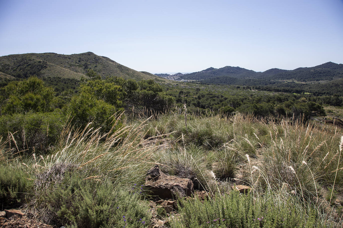 Fotos: «Quiero dejar la Peña del Águila en buenas manos»