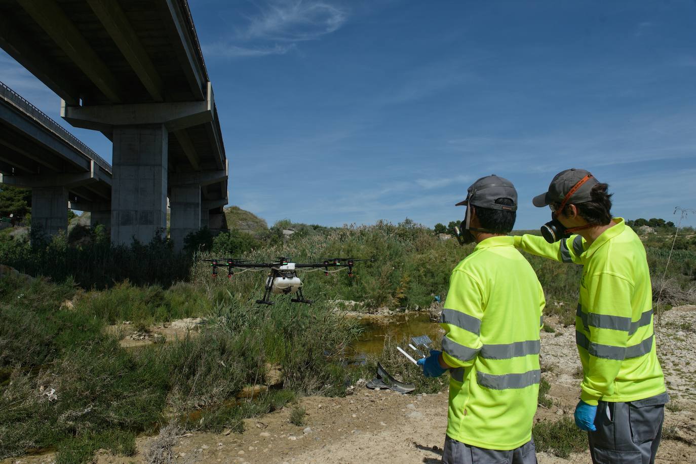 Fotos: Fumigar a vista de pájaro