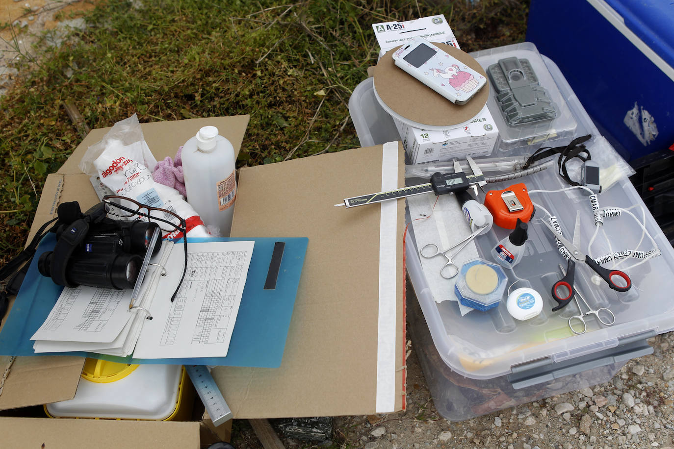 Fotos: La ruta gastronómica de las gaviotas