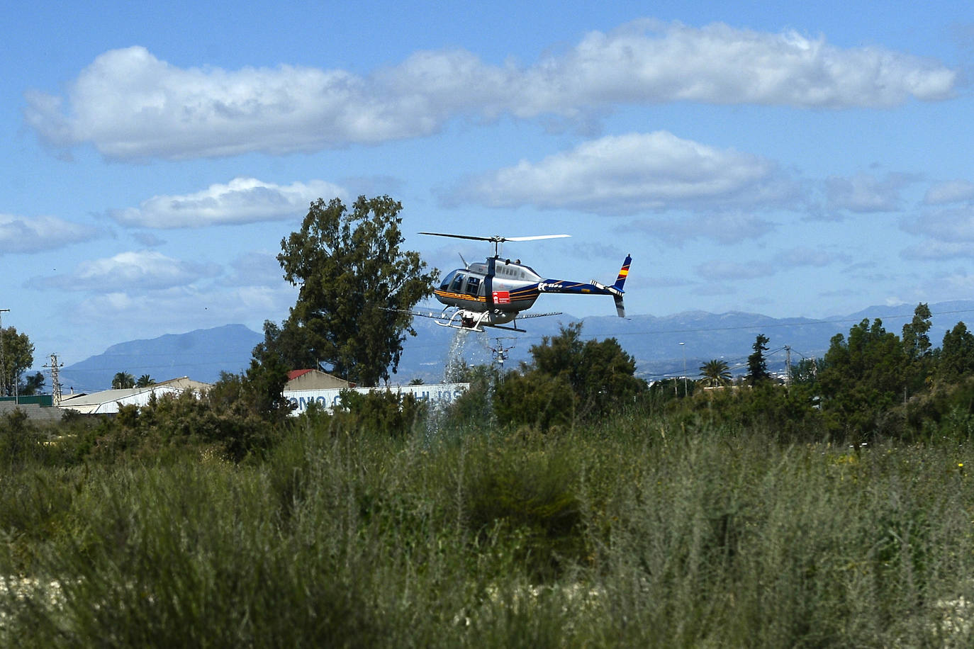Fotos: Un helicóptero se une a la guerra contra el mosquito tigre en Murcia