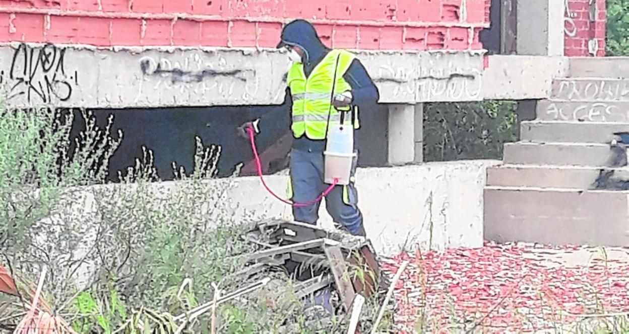 Un operario fumiga una zona para combatir los mosquitos. 